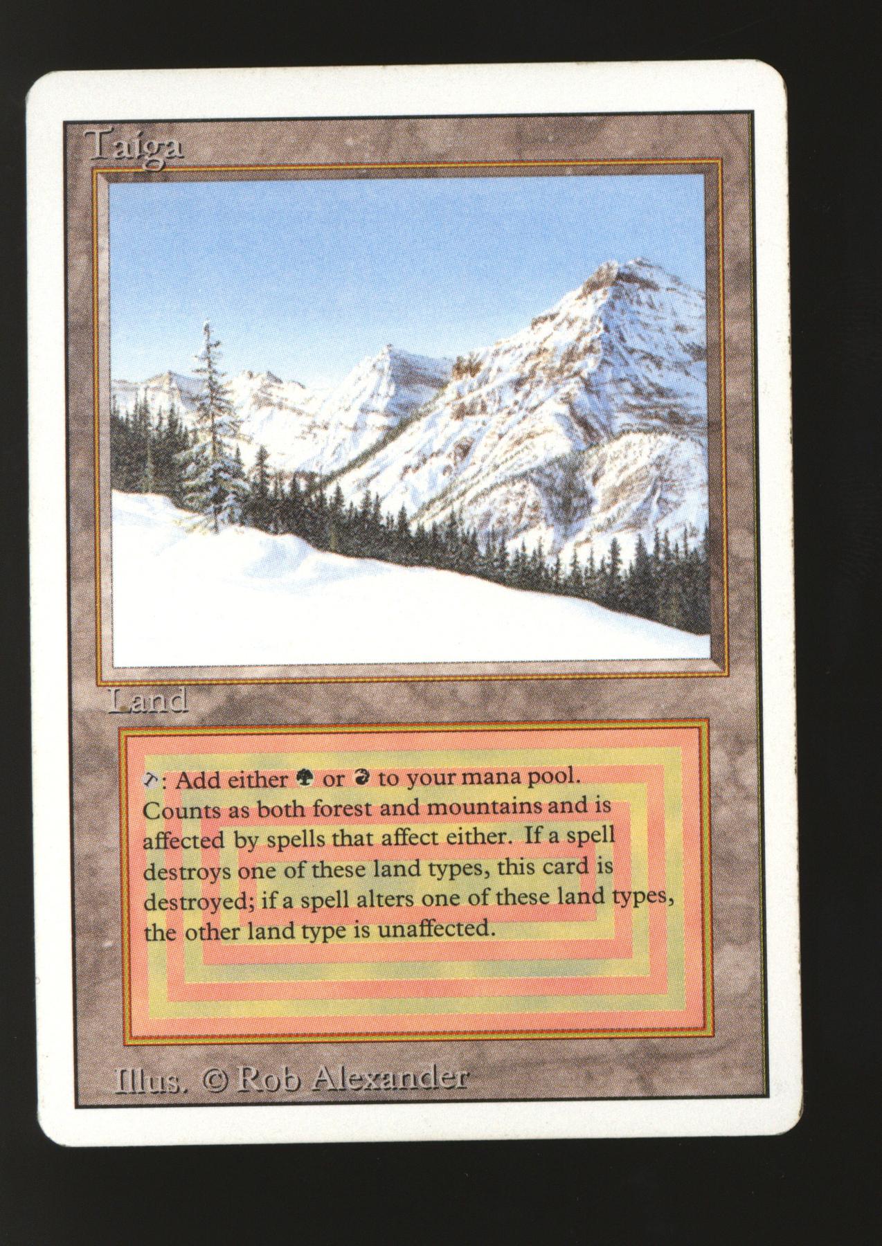 Magic the Gathering 3rd Edition Revised Taiga LIGHTLY PLAYED LP
